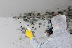 Best Forensic Mold Investigation  in North Madison, OH